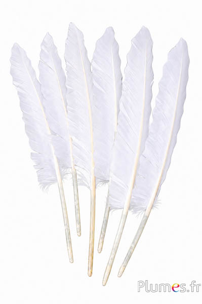 Gans - 24-28 cm - weiss